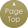 Page Top