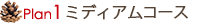 Plan1 ミディアムコース